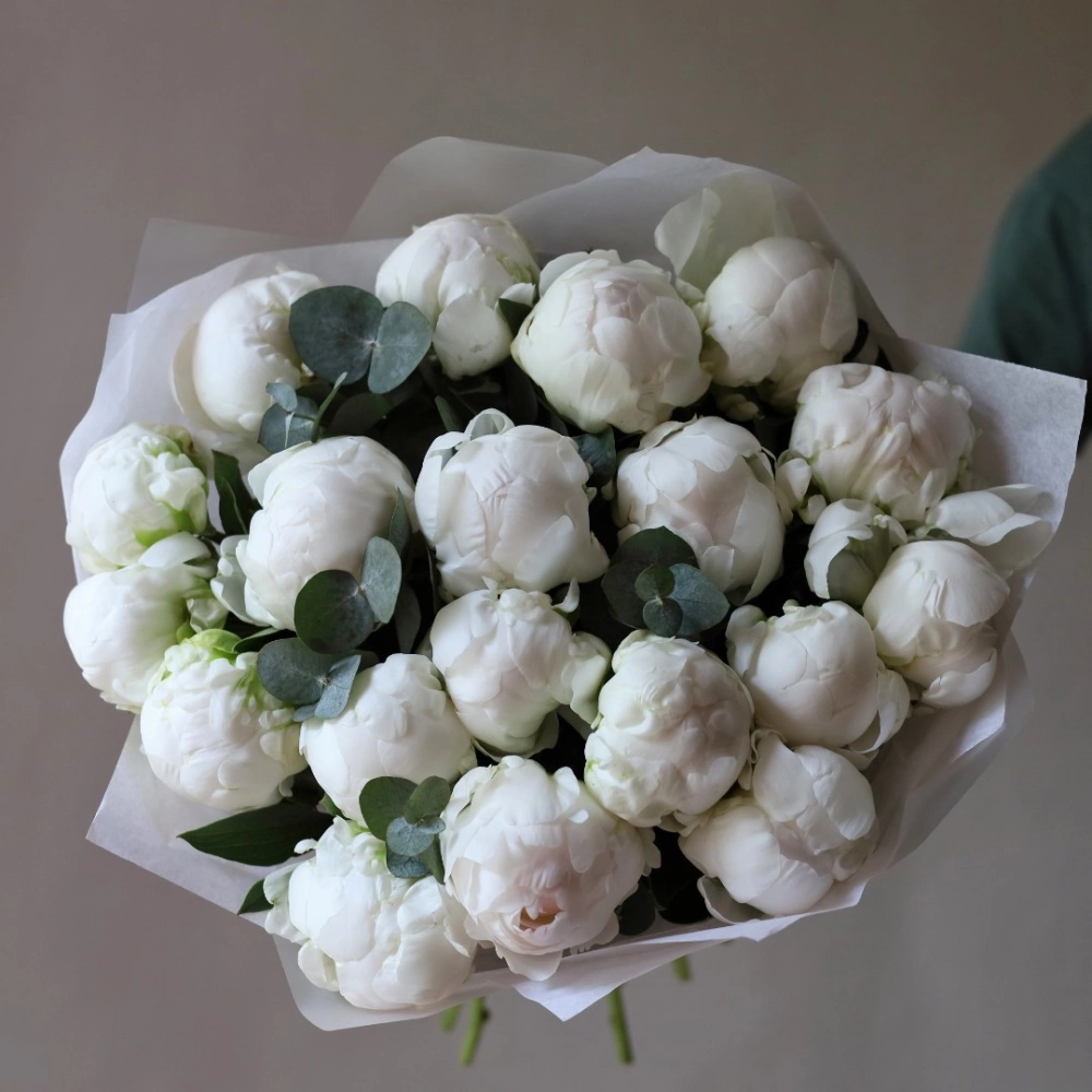 19 пионов