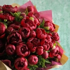 29 пионов