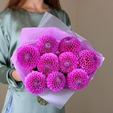 Малиновые георгины букет
