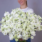 39 эустом