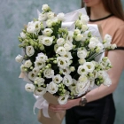 29 эустом