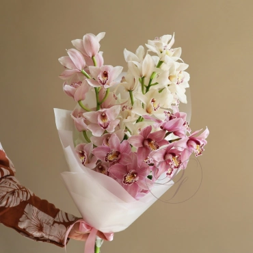Орхидея в ассортименте
