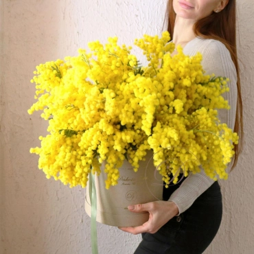 Коробка с мимозами на выбор