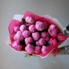 19 пионов