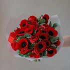 19 анемонов