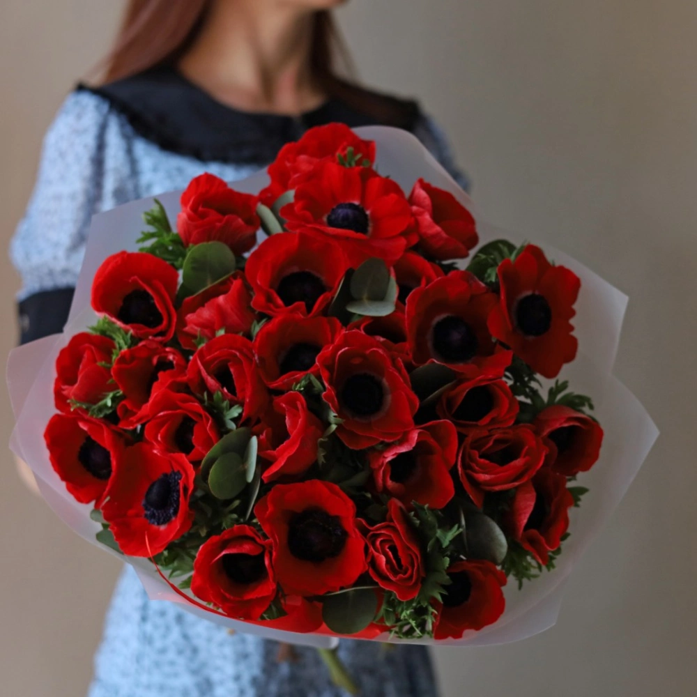 29 анемонов