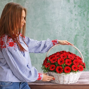 Гермини в корзине