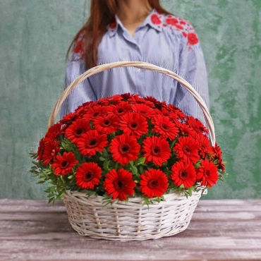 Гермини в корзине